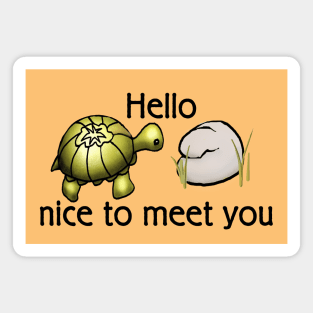 Hello nice to meet you (turtle) Magnet